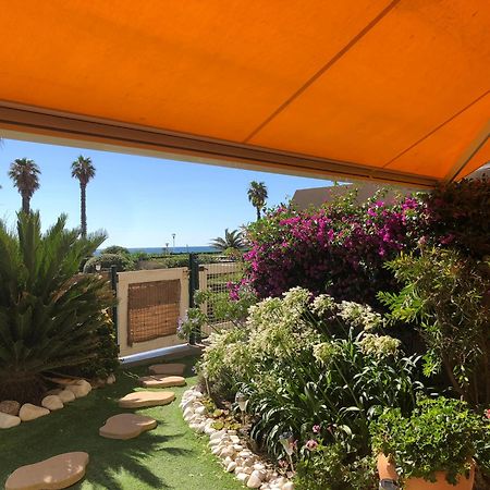 Le Jardin De La Plage - T2 - Terrasse Jardin 30M2 - Piscine - Clim- Wifi -Parking Canet Exterior foto